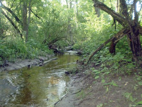 Property photo 3 - 20 Acres Offered in 3 Tracts - Hunting, Wildlife, & Recreation!
